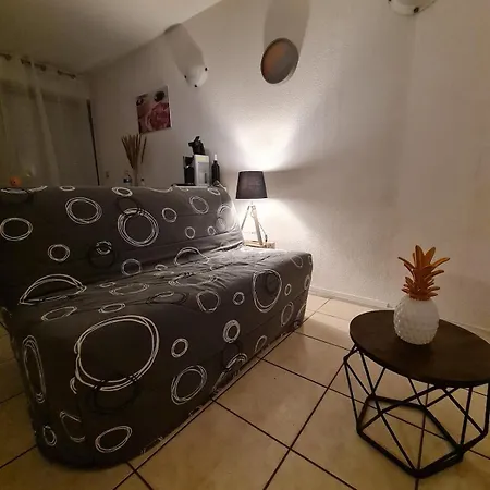A 100 M De La Avec Parking Apartment Canet-en-Roussillon