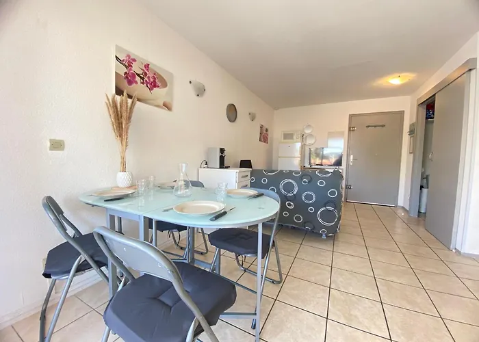 A 100 M De La Avec Parking Canet-en-Roussillon